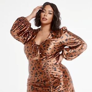 Brown Animal Print Dress ☺😍💋💙 Size 1, 1x, 14-16